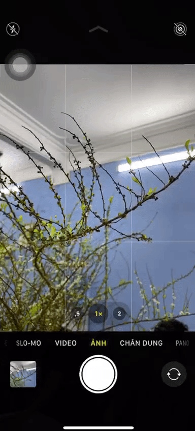 chụp liên tiếp iphone