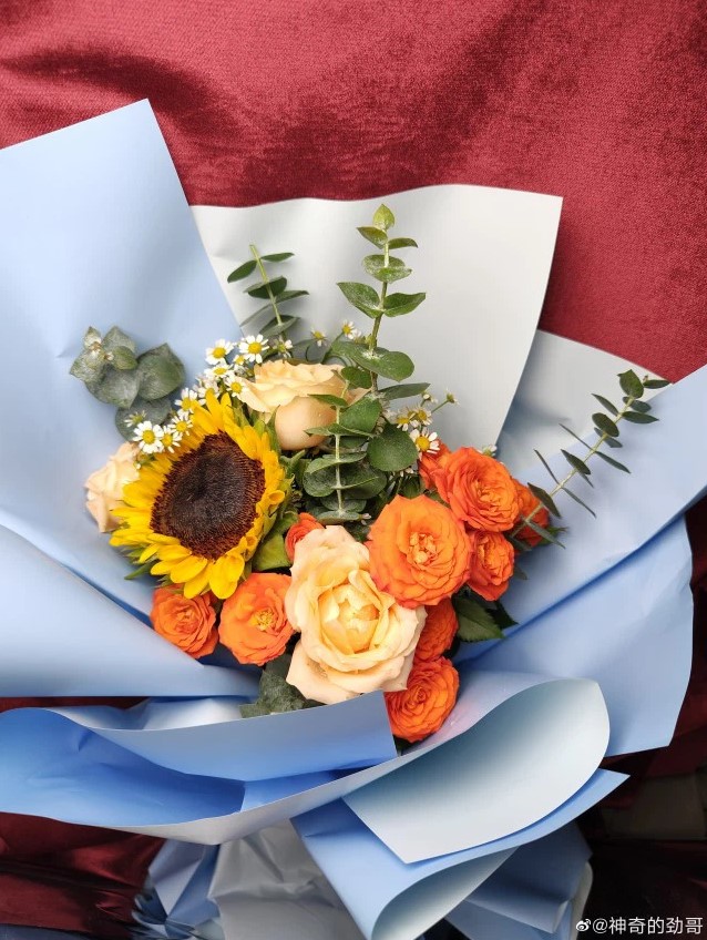 camera-Motorola-Edge-30-Ultra-1