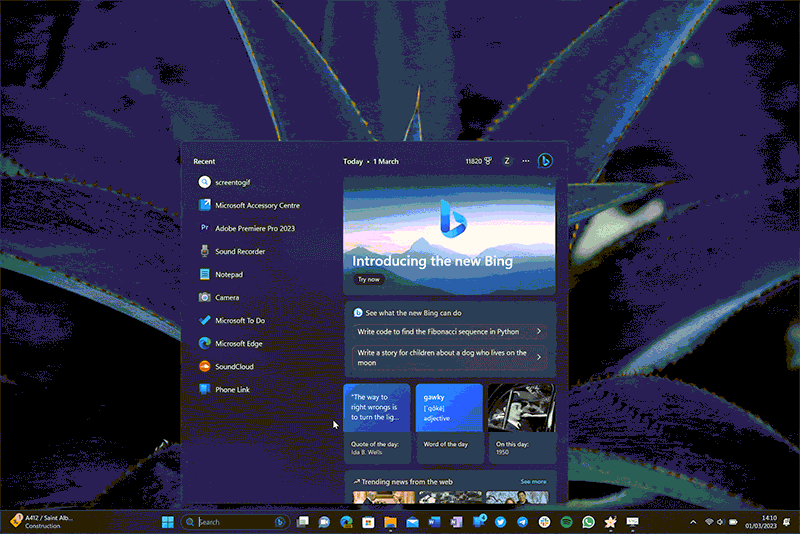 windows-11-bing-chatgpt-2