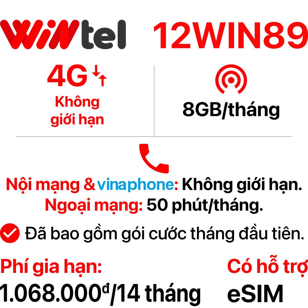 SIM Wintel 12WIN89 (Không giới hạn dung lượng)