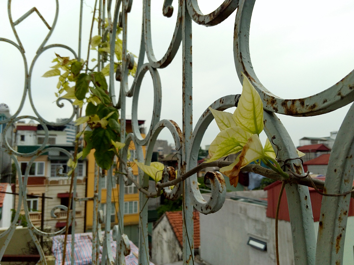 anh-chup-archos-55-diamond-selfie-4