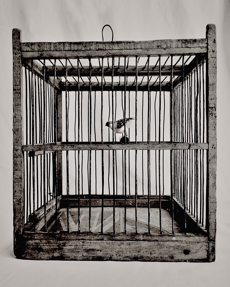 anh-chup-bang-iphone-photography-awards-13