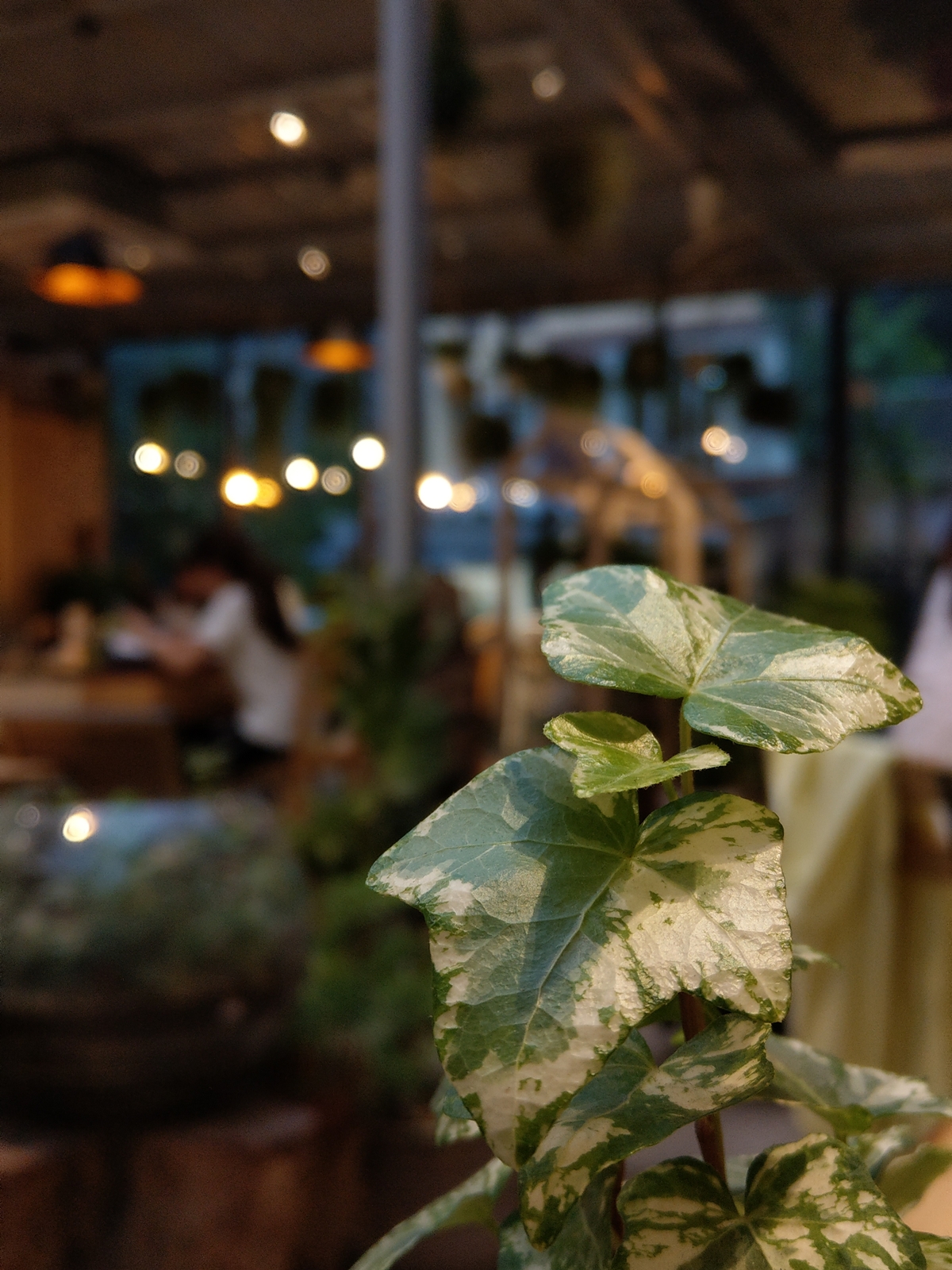 htc-u11-camera-sample-9