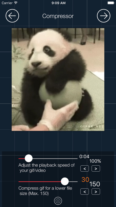 cách đăng ảnh gif lên instagram