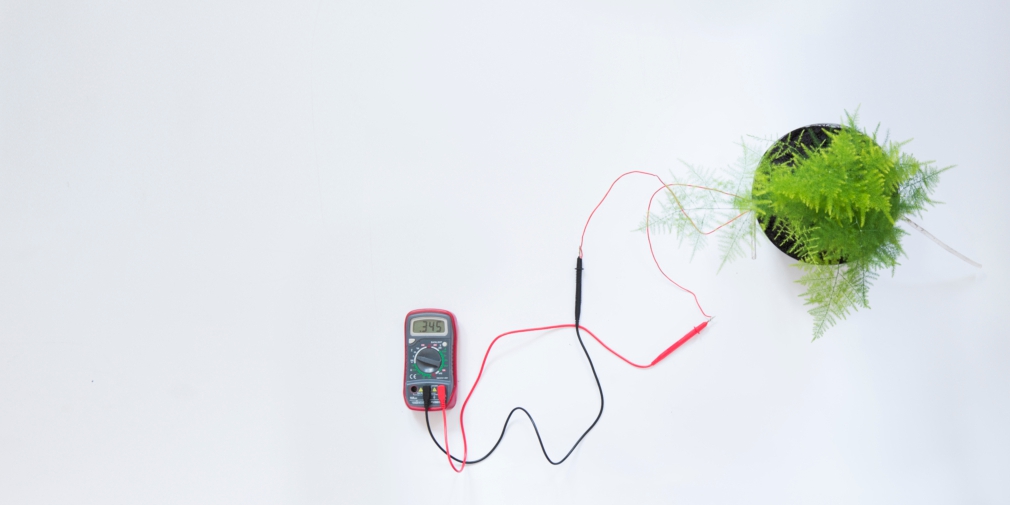 living-light-cay-tao-ra-dien-2