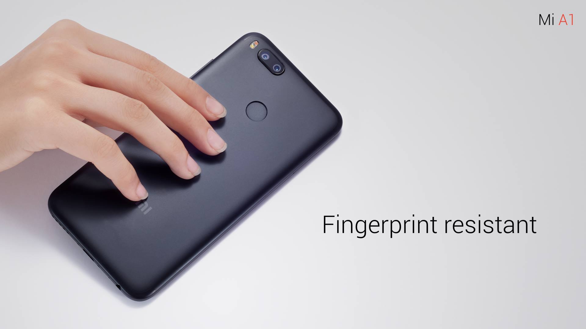 21318860_1493909537311301_2376891612261044622_o