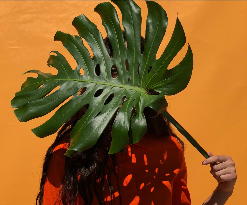 Apple-iPhone-X-official-camera-samples (10)