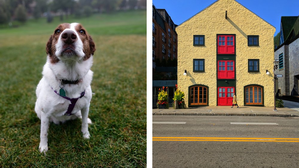 Google-Pixel-2XL-first-official-camera-samples