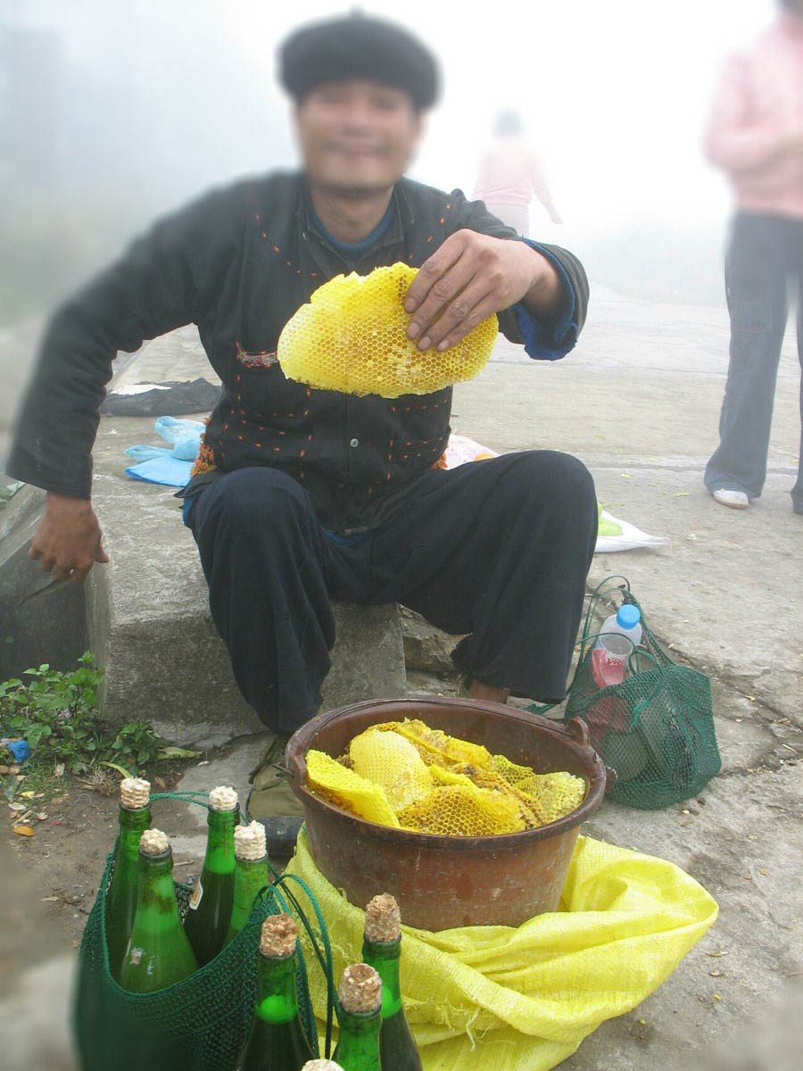 mật ong giả tại Hà Nội