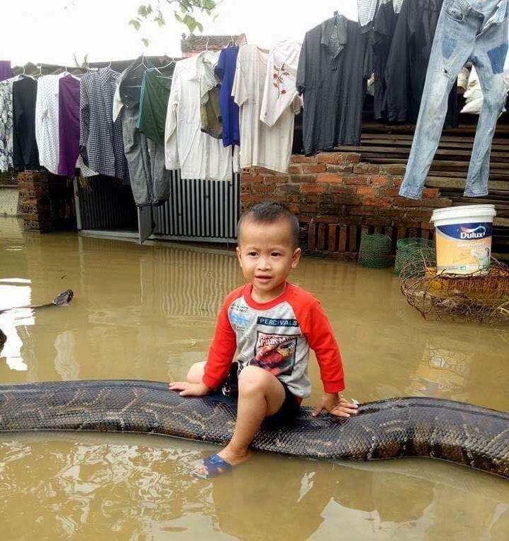 chơi cùng trăn khổng lồ