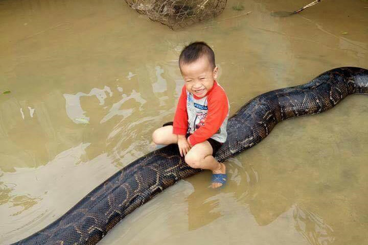 be-trai-choi-cung-tran-khong-lo
