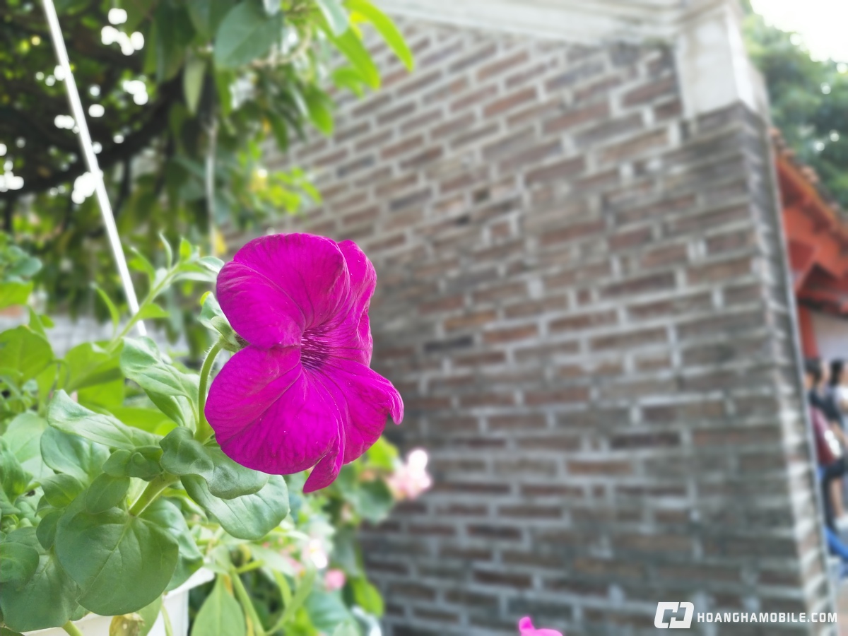 trải nghiệm camera nokia 8 xóa phông IMG_20171014_145003