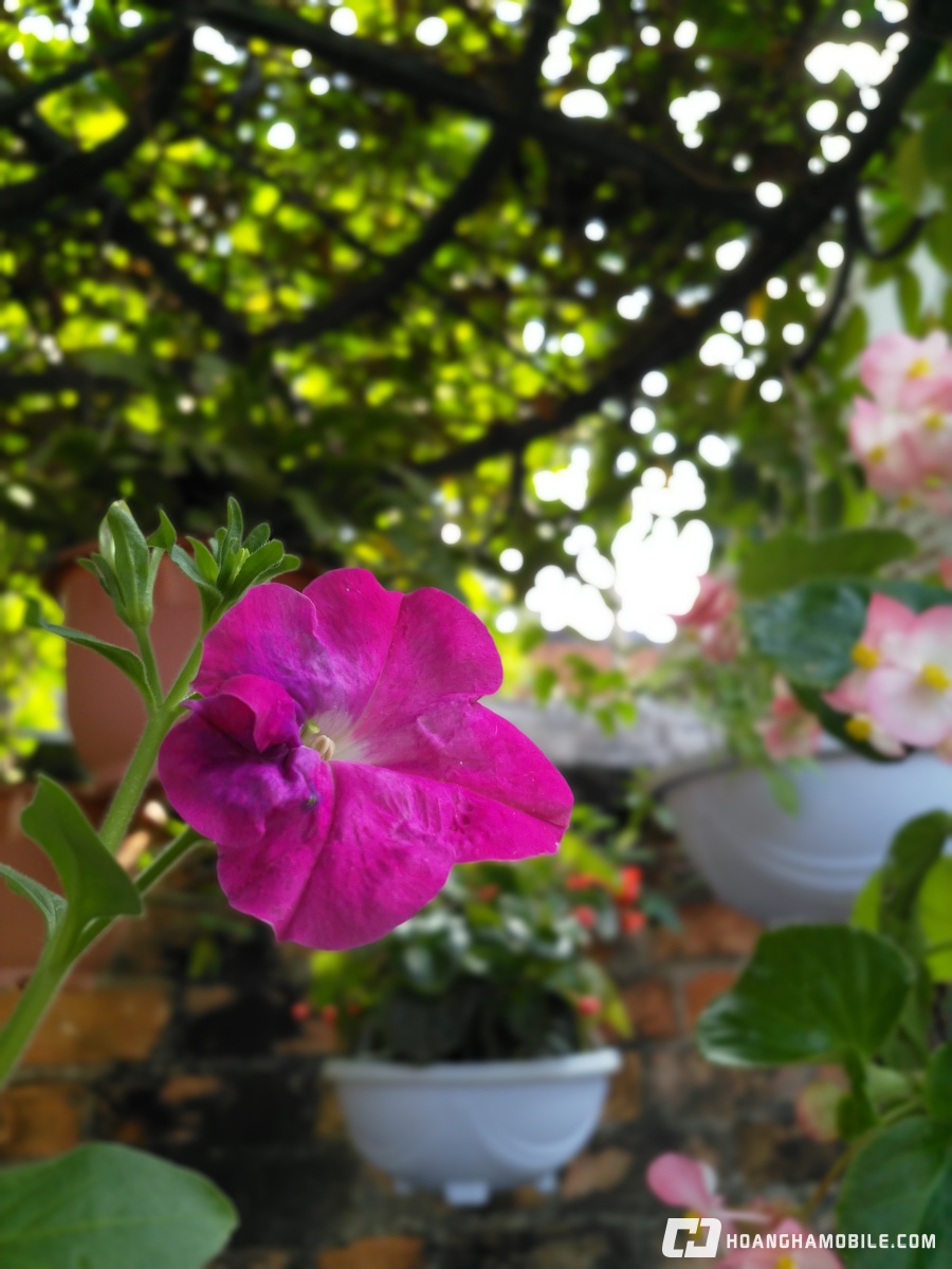 trải nghiệm camera nokia 8 xóa phông IMG_20171014_145248