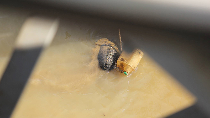 24169416_1371319162977689_1677106855_o_urfh