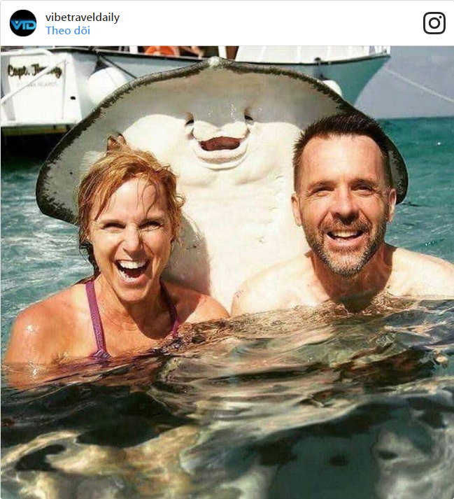 Cách chụp hình bá đạo