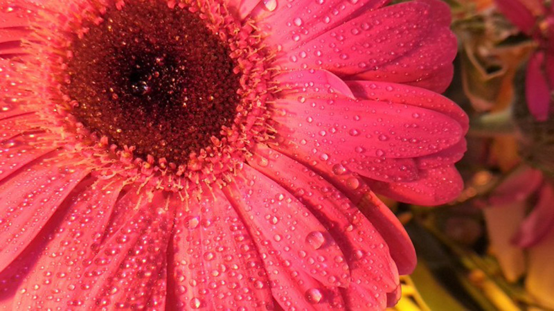 227459d8-dc5d-4a3b-a48d-478f386d9add