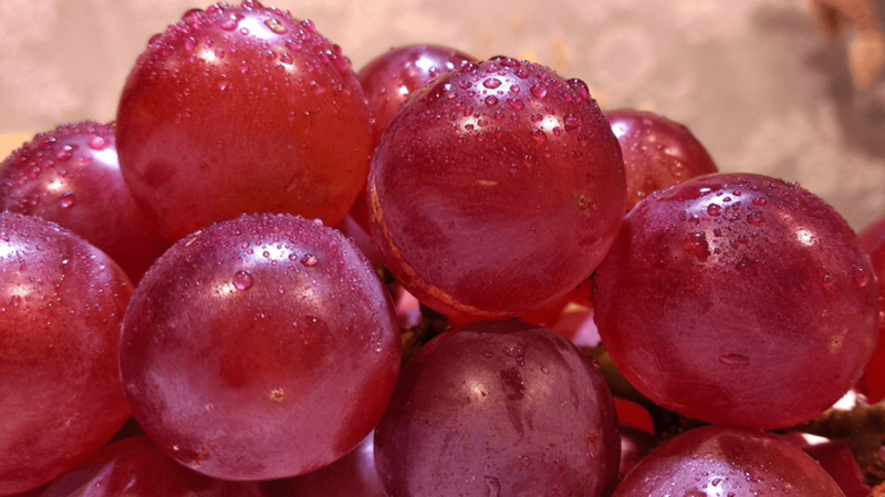 402bd8e2-834c-4afc-93b2-43e31c030b30