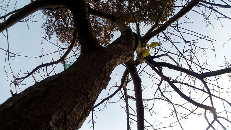 LG-X-Cam-review-camera-sample-002