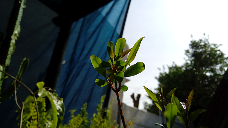 LG-X-Cam-review-camera-sample-003