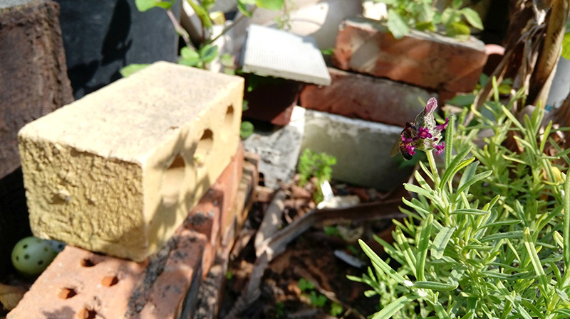 LG-X-Cam-review-camera-sample-009