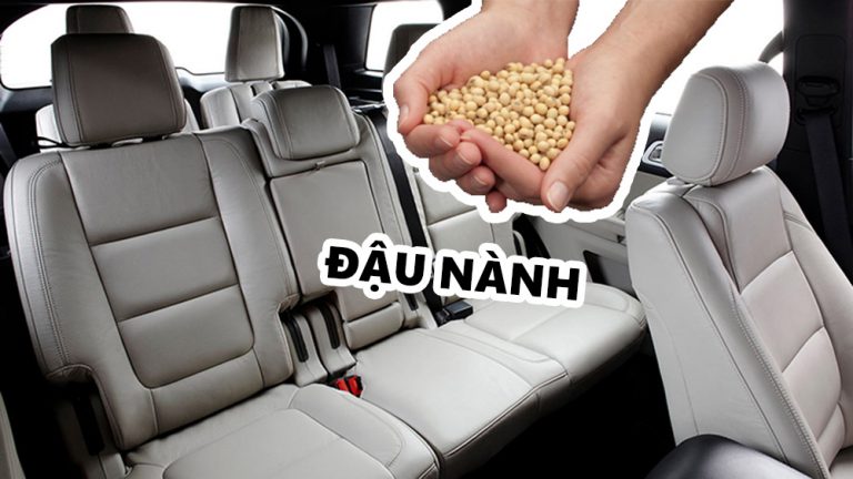 soyfoamseats