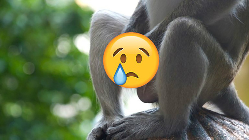 1382595446871558831-15174784290541065148480