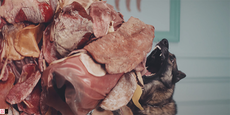 Video quảng cáo OnePlus 5T