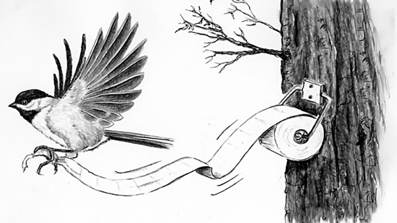 photo-1-15174776453331856855745