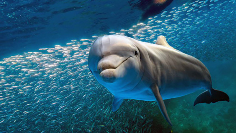 photo-1-15174788693641412638471