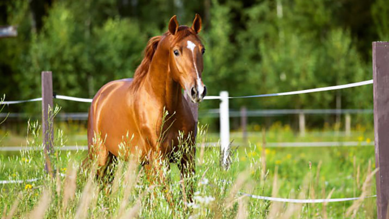 photo-1-15174790685901544563355