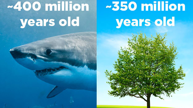 photo-1-15174793666831925376901