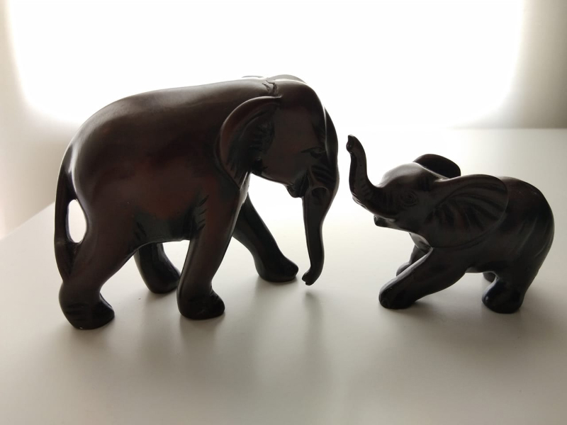 tren-tay-va-vivo-v9-9