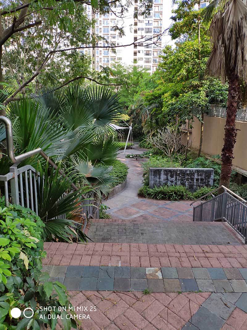 xem-ngay-nhung-hinh-anh-dau-tien-duoc-chup-tu-xiaomi-mi-mix-2s-6