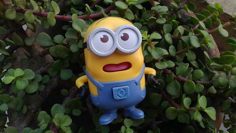 Trên tay và đánh giá Asus Zenfone Max Pro M1: Hoàn hảo trong tầm giá