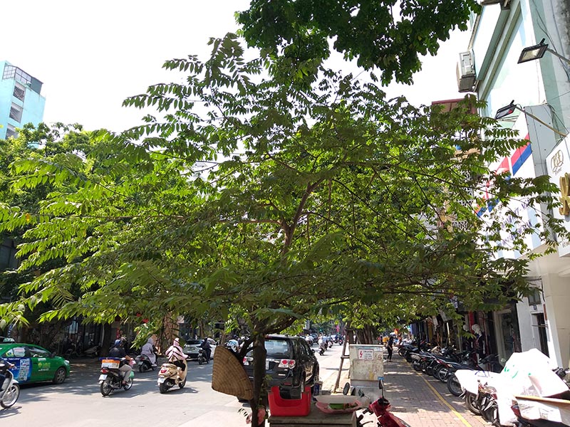 Mở hộp và trên tay Galaxy J8: Đã đẹp lại còn có thêm cả camera kép