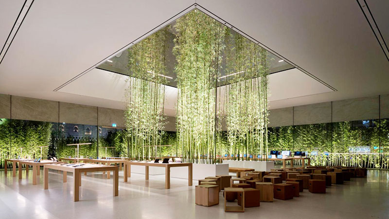 Apple Store ở Việt Nam