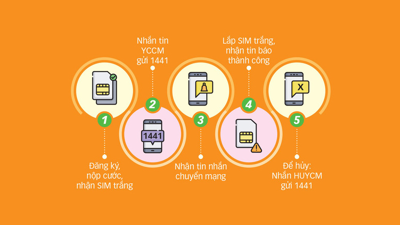 Cách chuyển mạng giữ sô