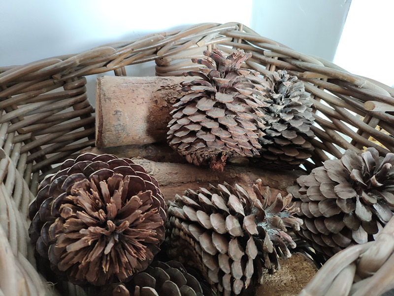 So sánh Mi 8 Pro và Pocophone F1: Máy nào “ngon” hơn?