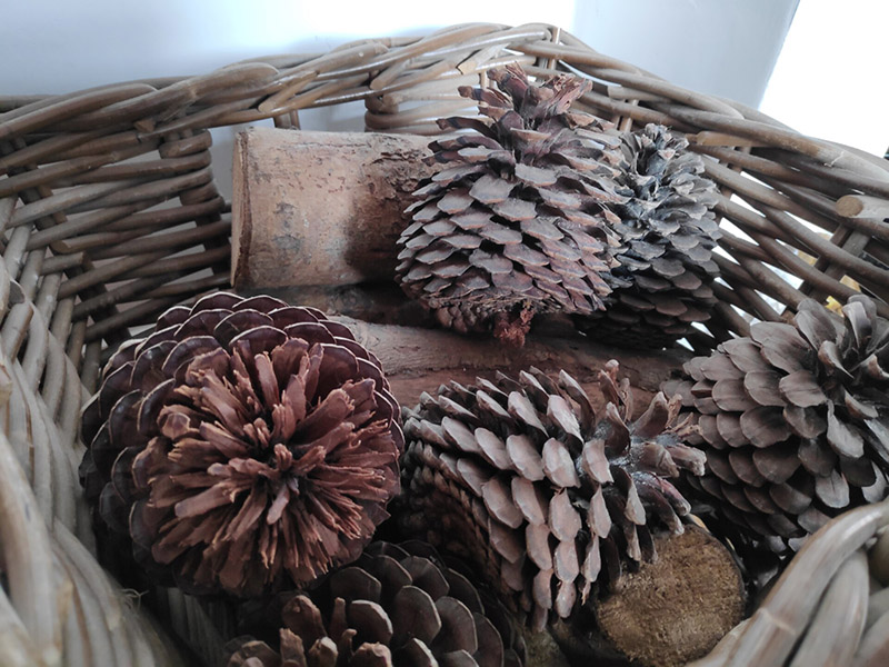 So sánh Mi 8 Pro và Pocophone F1: Máy nào “ngon” hơn?