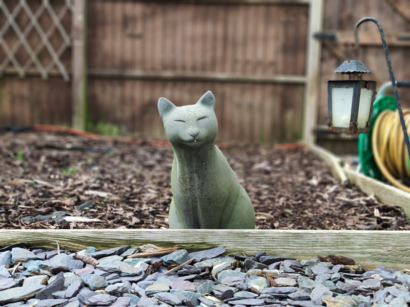 So sánh Mi 8 Pro và Pocophone F1: Máy nào “ngon” hơn?