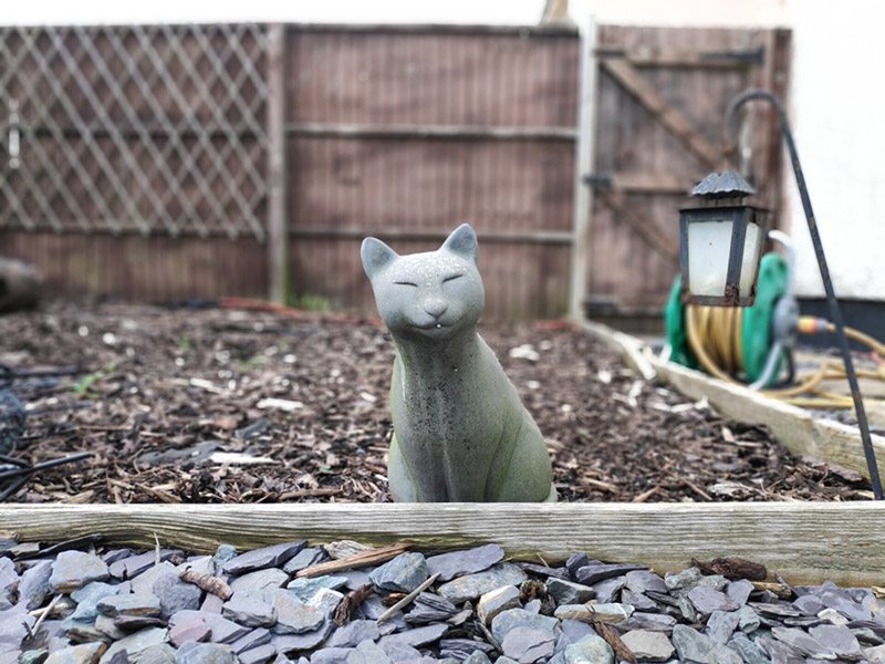 So sánh Mi 8 Pro và Pocophone F1: Máy nào “ngon” hơn?