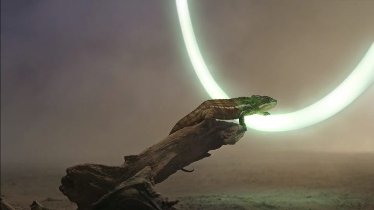 Video Huawei Mate 30 tiết lộ camera và sạc nhanh không dây