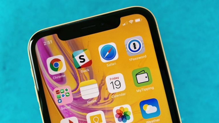 uploadscardimage1221042e8fb37c2-dbc3-418e-a19e-724d8e7a6155.jpg950x534__filtersquality80