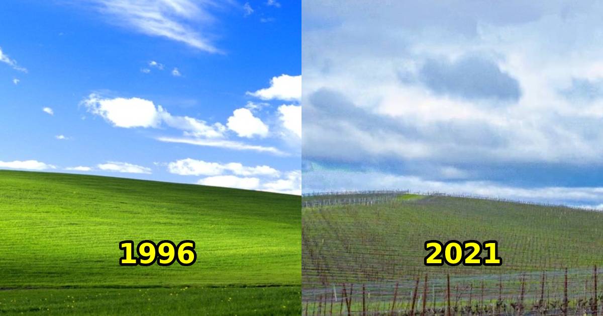 Hình nền huyền thoại trên Windows XP trị giá 2,3 tỷ ngày ấy: Thực ...