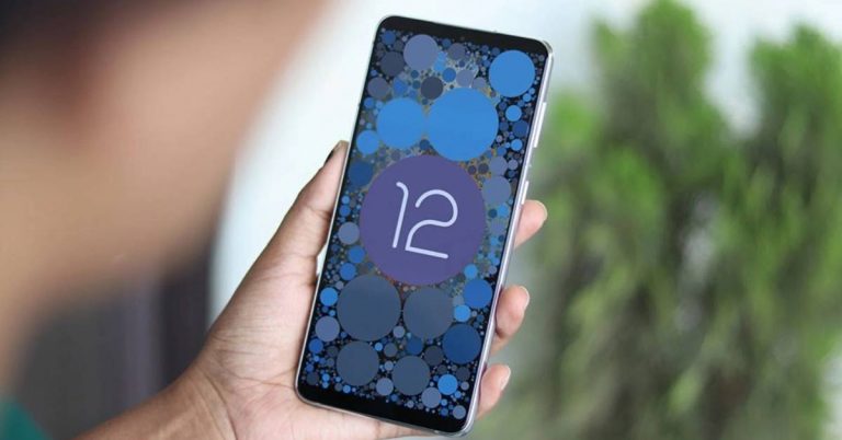 pixel 6 (1)