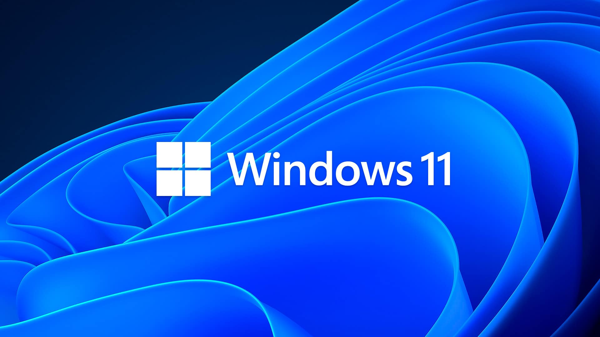 Windows-11-Logo (1)