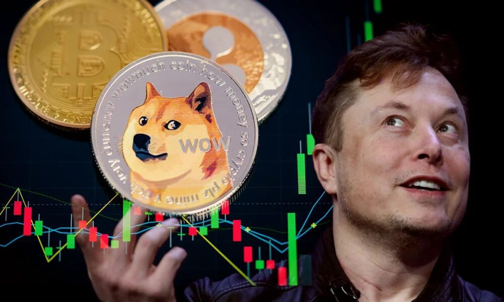 Giá Dogecoin đã tăng vọt hơn 30%