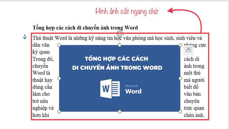 cach-di-chuyen-anh-trong-word-11