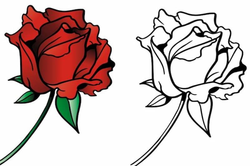 Hoa hồng (Rose) - Set 10 Tờ Tranh Tô Màu A4 A5 Dành Cho Màu Sáp, Màu Chì -  MANGA ANIME COMIC Tô màu | Shopee Việt Nam
