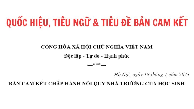 cach-viet-ban-cam-ket-4